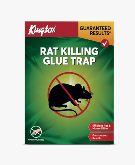 Kingtox Rat Killing Glue Trap